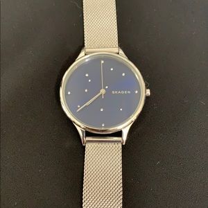 Skagen steel-mesh Anita watch